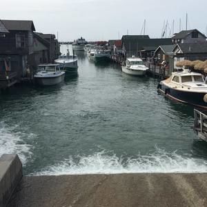 Meet your Posher, Henry